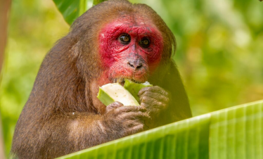 The Big 5 Wild Horizons & Uganda’s breathtaking landscapes