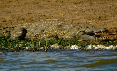 East Africa’s Natural Wonders Tour
